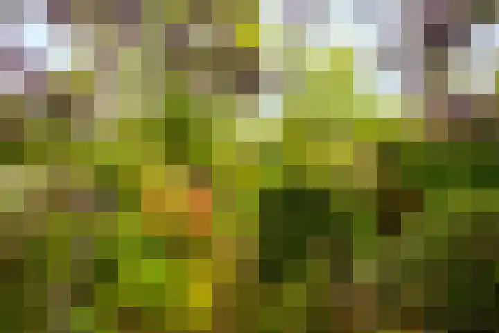 Meentweg 112 De Meern thumbnail 37