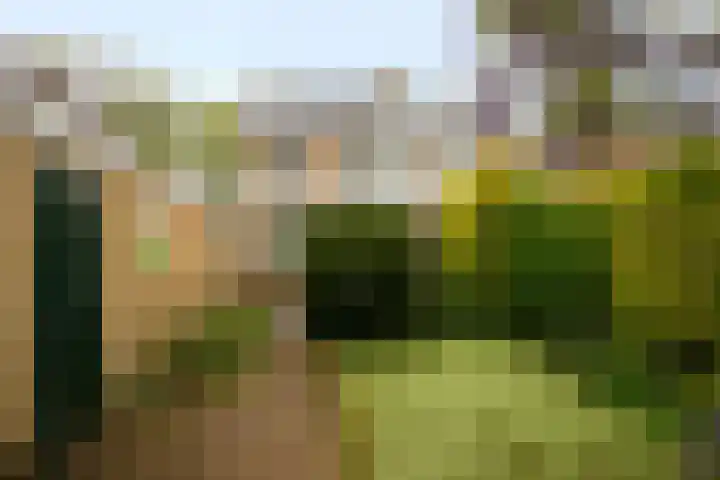 Meentweg 112 De Meern thumbnail 38