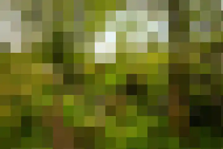 Meentweg 112 De Meern thumbnail 39