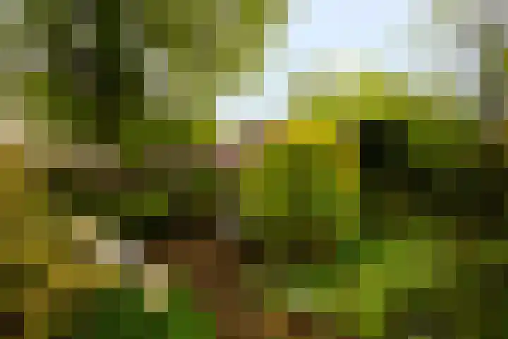 Meentweg 112 De Meern thumbnail 41
