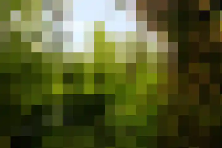 Meentweg 112 De Meern thumbnail 42