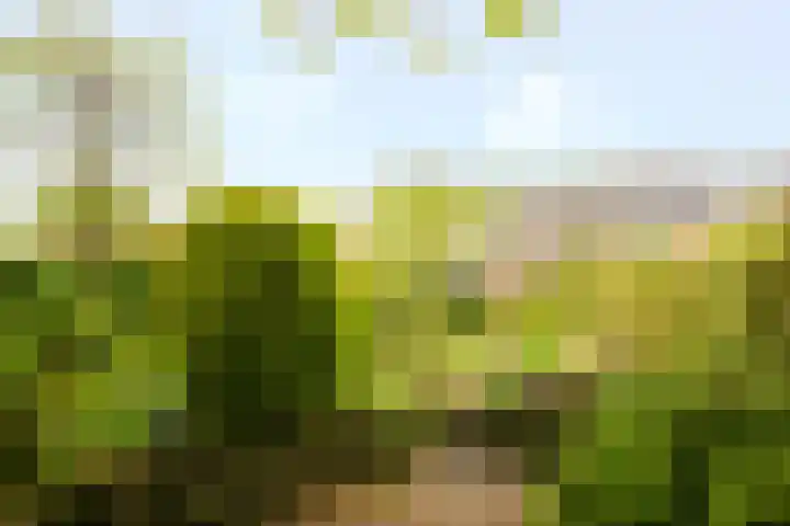Meentweg 112 De Meern thumbnail 43