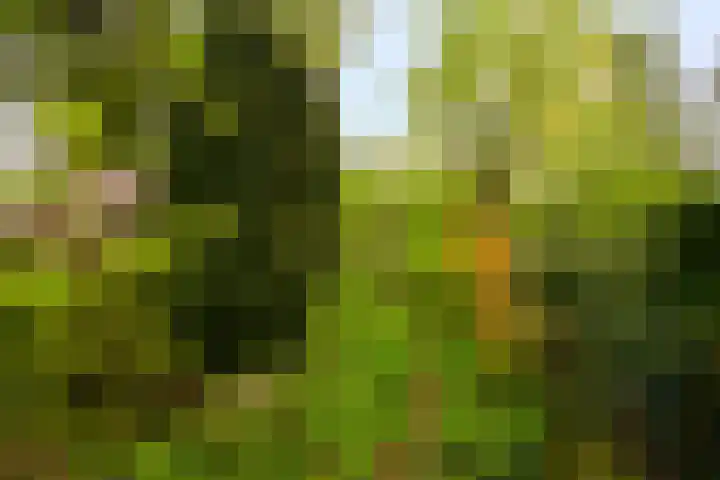 Meentweg 112 De Meern thumbnail 44