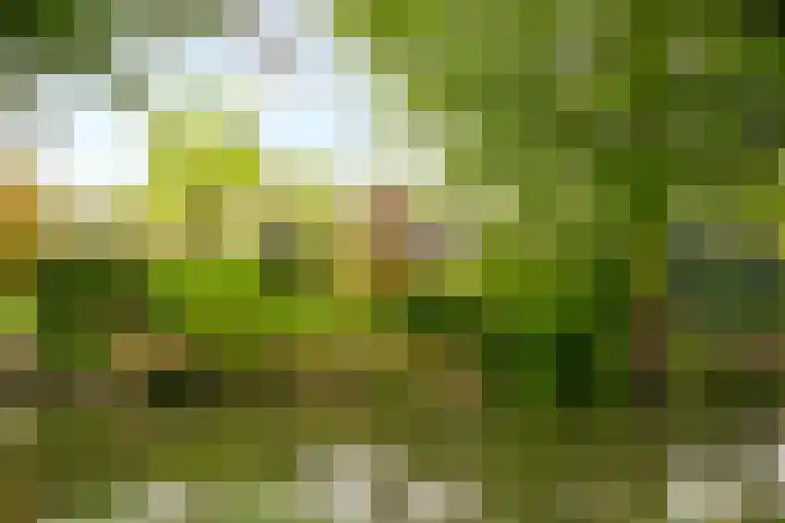 Meentweg 112 De Meern thumbnail 46