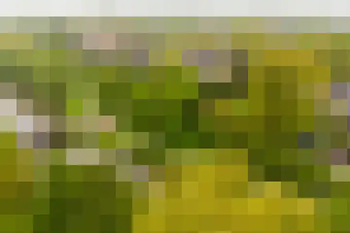 Meentweg 112 De Meern thumbnail 50
