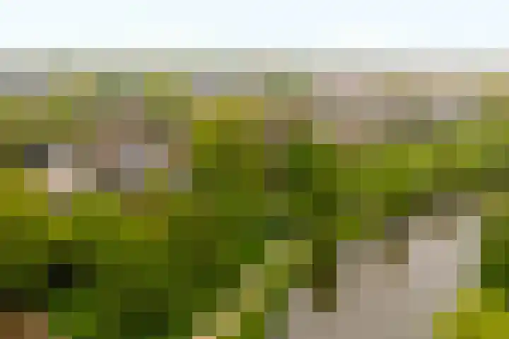 Meentweg 112 De Meern thumbnail 51