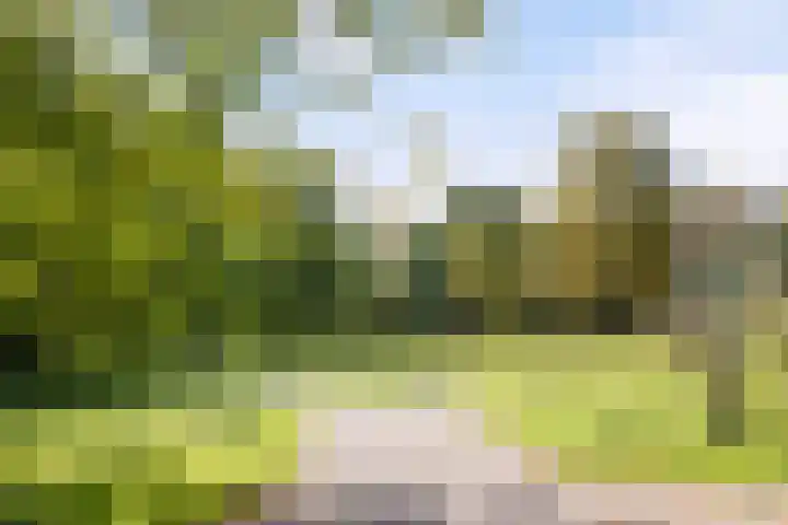 Meentweg 112 De Meern thumbnail 52