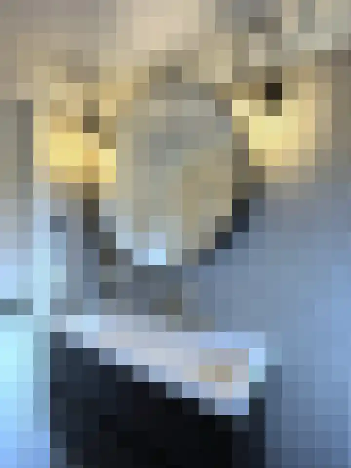 Meentweg 55 Blaricum thumbnail 21
