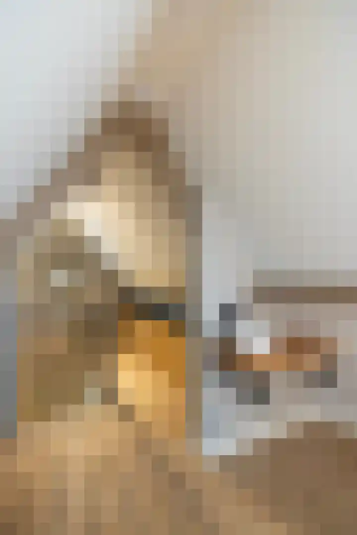 Meentweg 55 Blaricum thumbnail 25