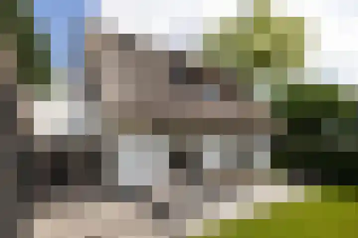 Meentweg 55 Blaricum thumbnail 26