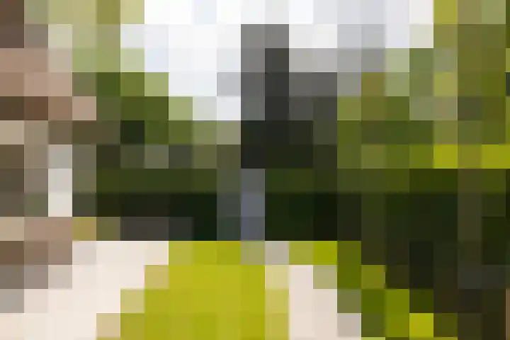 Meentweg 55 Blaricum thumbnail 4