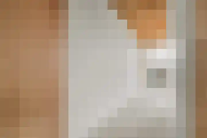 Meentweide 84 Reeuwijk thumbnail 24