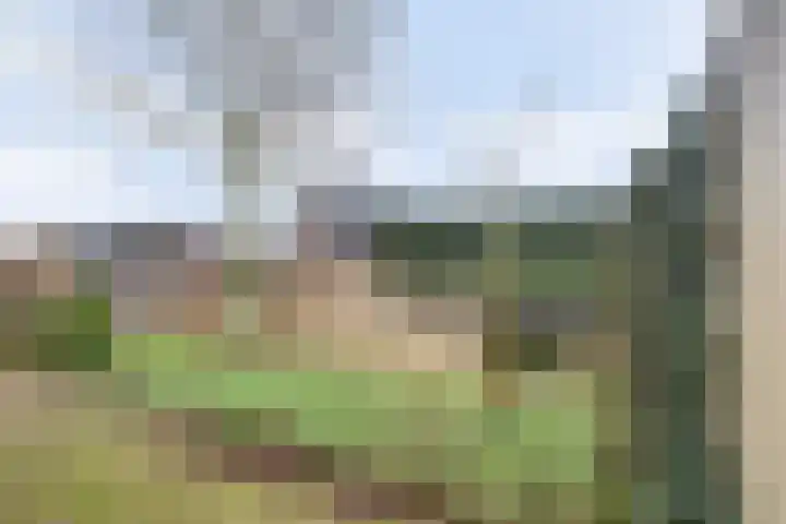 Meentweide 84 Reeuwijk thumbnail 33