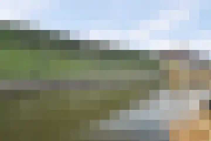 Meentweide 84 Reeuwijk thumbnail 35