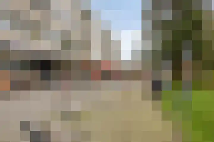 Meerburgerkade 48 Leiden thumbnail 24