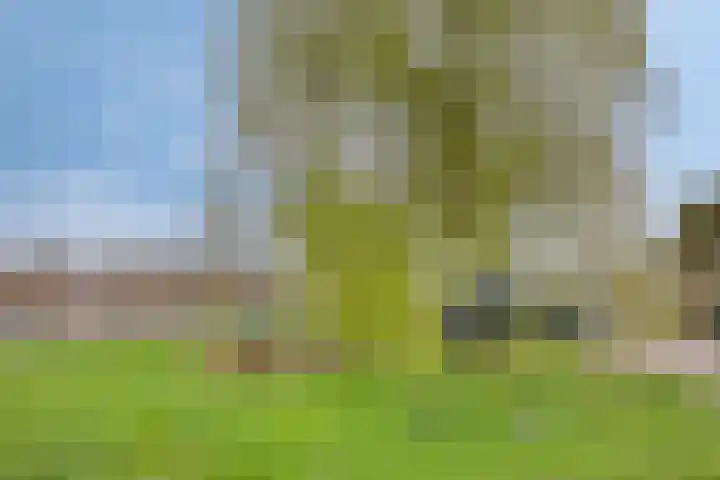 Meerburgerkade 48 Leiden thumbnail 34