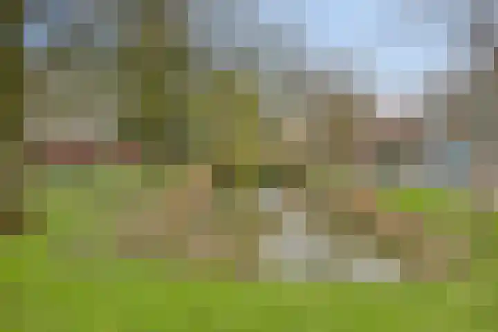 Meerburgerkade 48 Leiden thumbnail 36