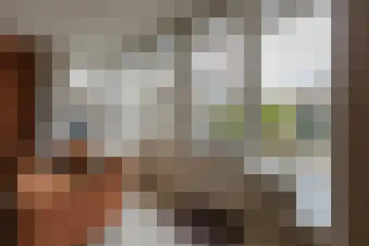 Meercamp 51 Houten thumbnail 11