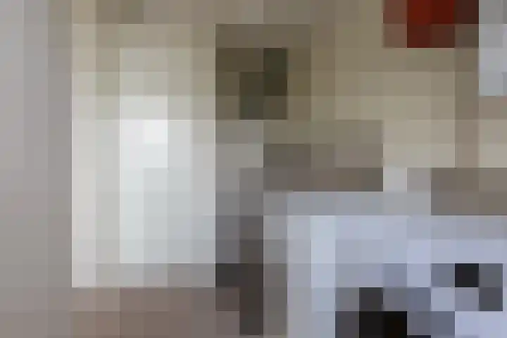 Meercamp 51 Houten thumbnail 44