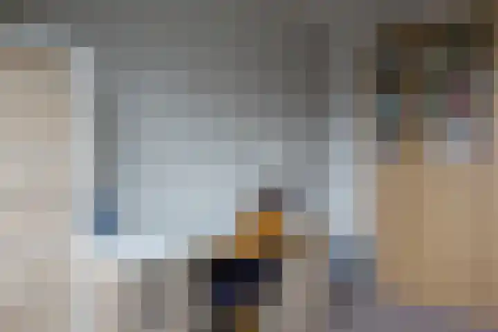 Meercamp 51 Houten thumbnail 47