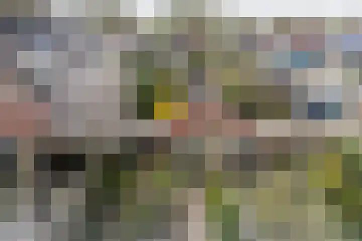 Meercamp 51 Houten thumbnail 49