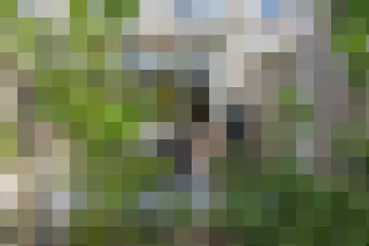 Meercamp 51 Houten thumbnail 50