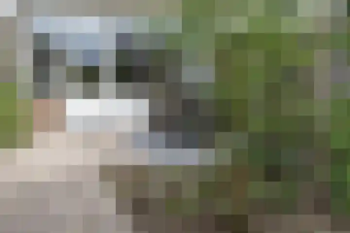 Meercamp 51 Houten thumbnail 51