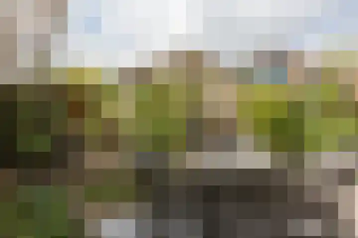 Meercamp 51 Houten thumbnail 56