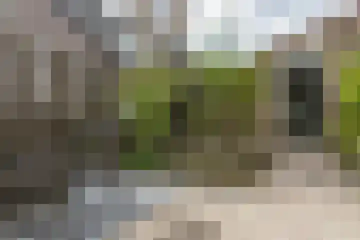 Meercamp 51 Houten thumbnail 57