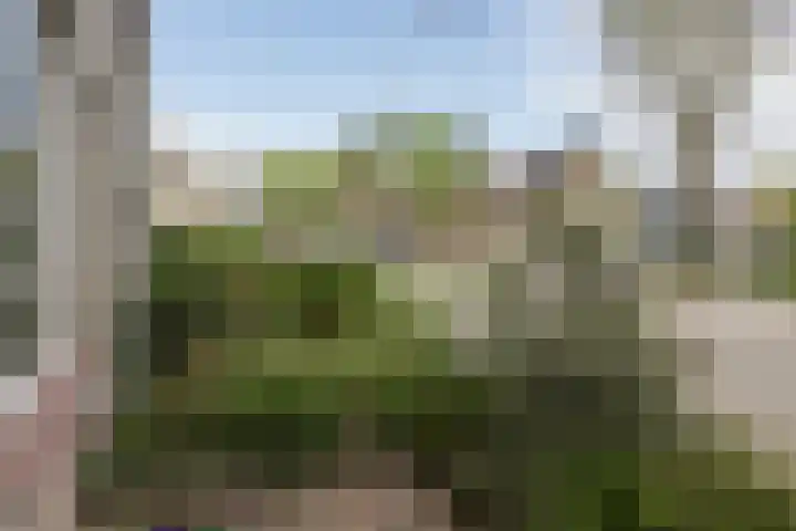 Meercamp 51 Houten thumbnail 61