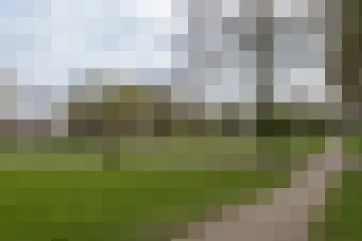 Meercamp 51 Houten thumbnail 62