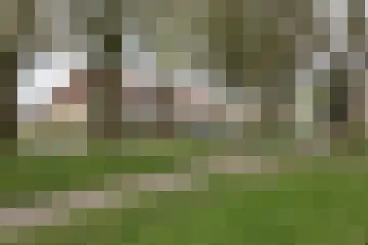 Meercamp 51 Houten thumbnail 63
