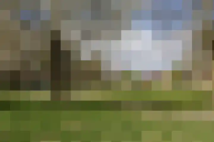 Meercamp 51 Houten thumbnail 65