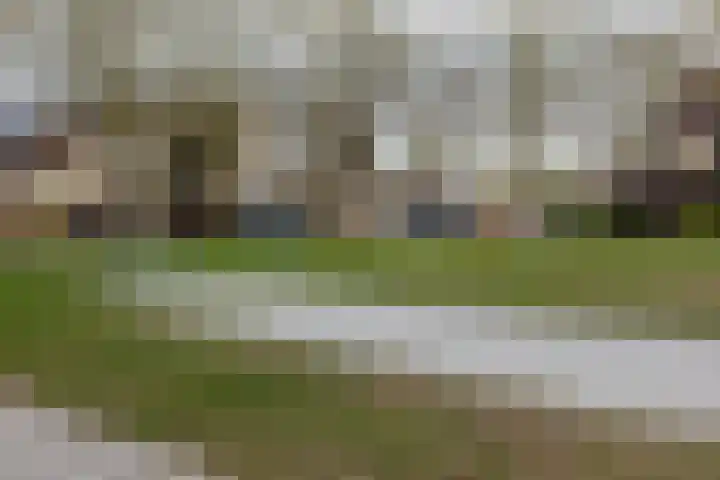 Meercamp 51 Houten thumbnail 67