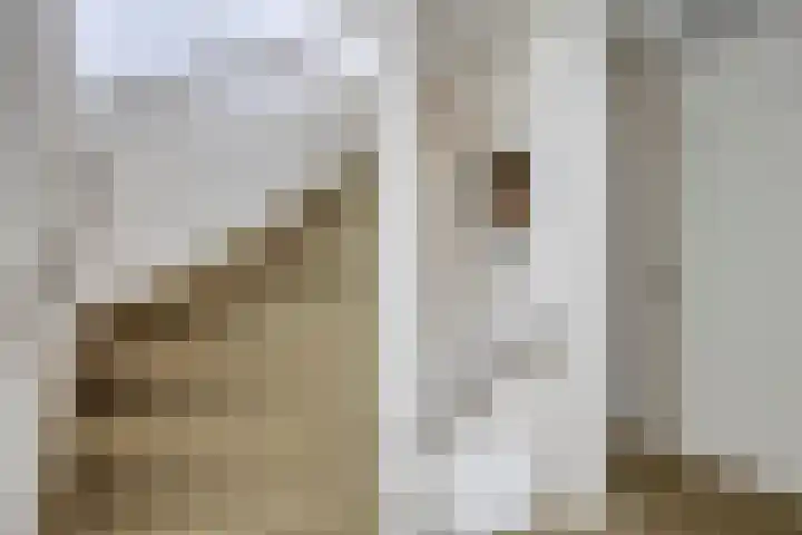 Meerdijkpark 25 Drunen thumbnail 25