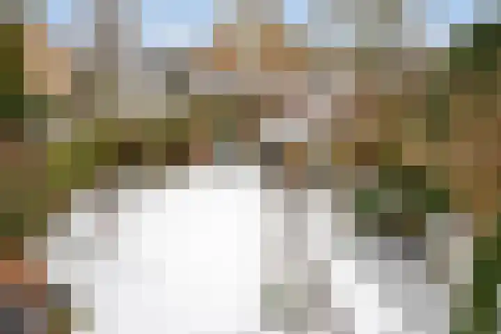 Meerdijkpark 25 Drunen thumbnail 31