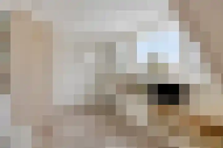 Meerdijkpark 25 Drunen thumbnail 44