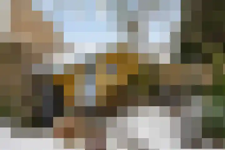 Meerdijkpark 25 Drunen thumbnail 48