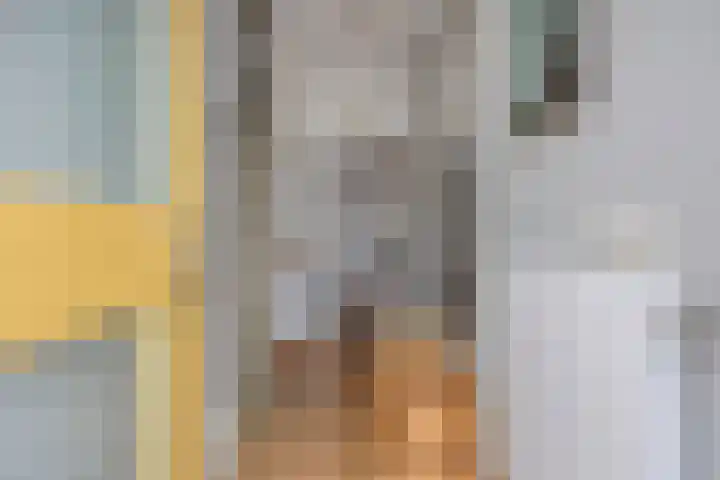 Meerdijkpark 25 Drunen thumbnail 5