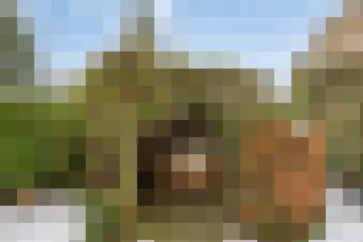 Meerdijkpark 25 Drunen thumbnail 51