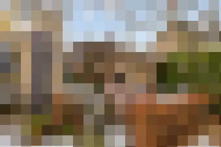 Meerdijkpark 25 Drunen thumbnail 53
