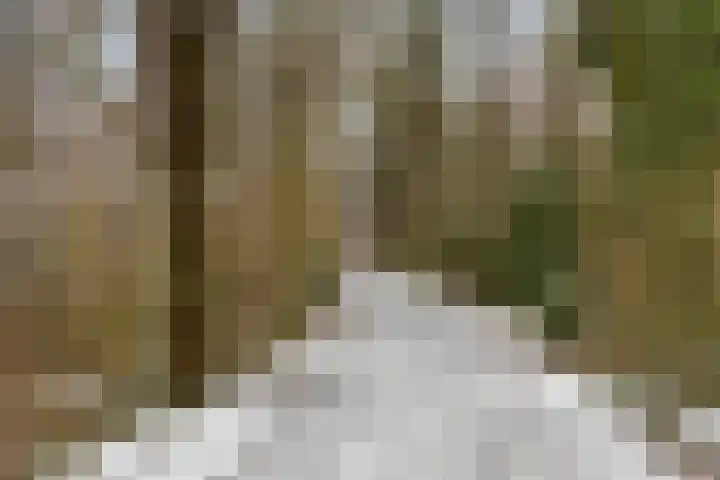Meerdijkpark 25 Drunen thumbnail 57