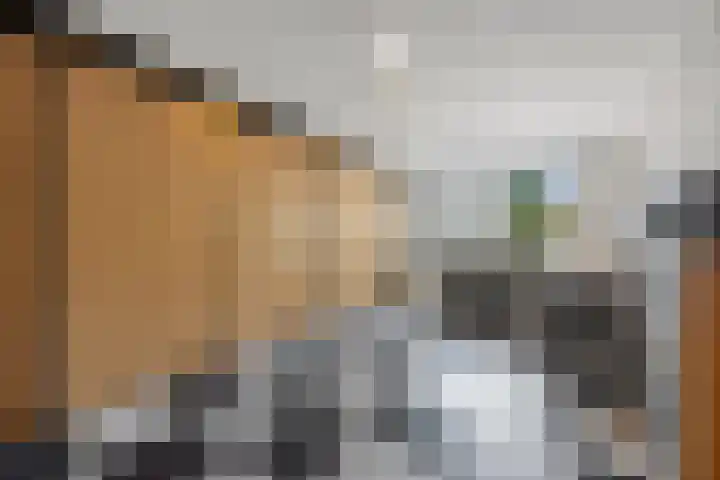 Meerdijkpark 3 Drunen thumbnail 27