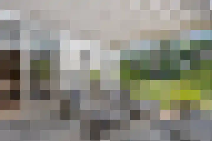 Meerdijkpark 3 Drunen thumbnail 39