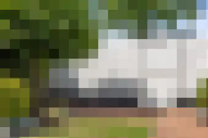 Meerdijkpark 3 Drunen thumbnail 49