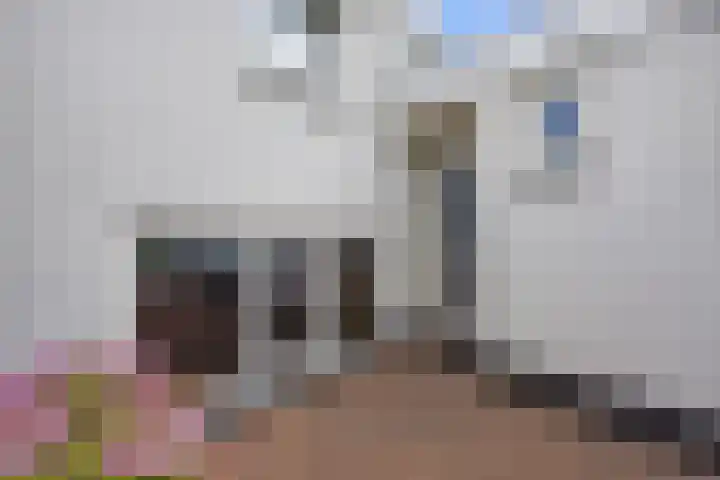 Meerdijkpark 3 Drunen thumbnail 7