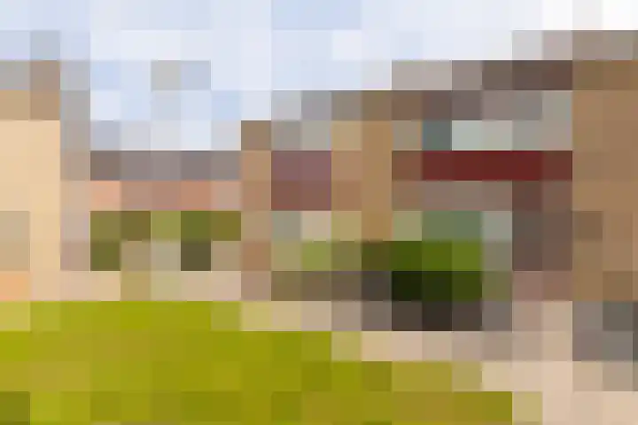 Meergraaf 19 dans Zoelen