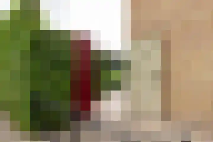 Meergraaf 19 Zoelen thumbnail 11