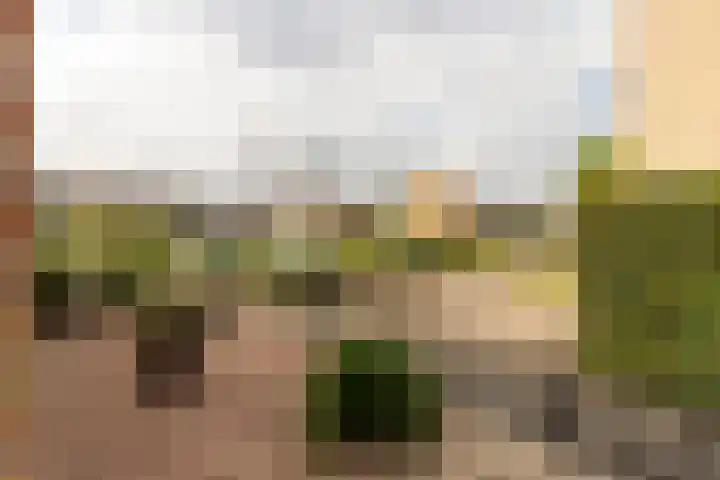 Meergraaf 19 Zoelen thumbnail 13