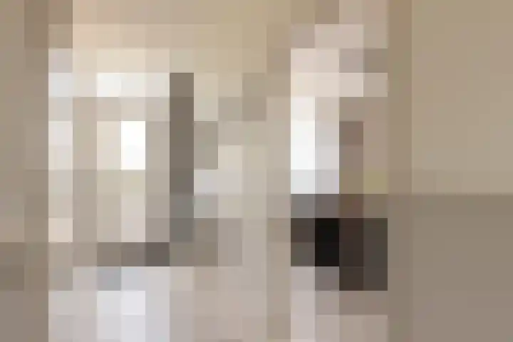Meergraaf 19 Zoelen thumbnail 17